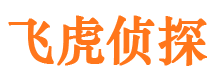 清水河外遇调查取证